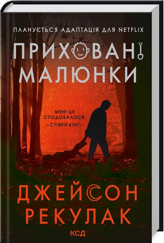 Завантажити повну книгу «Приховані малюнки» Джейсон Рекулак безкоштовно