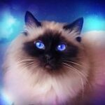 Анюта Тимофеева