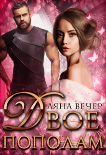 Скачать полную книгу «Двое пополам» Ляна Вечер бесплатно
