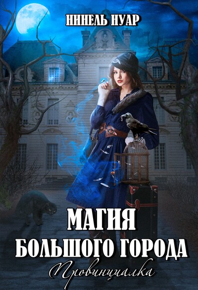 Скачать полную книгу «Магия большого города. Провинциалка» Нинель Нуар бесплатно