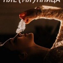 Скачать полную книгу «Пле(мя)нница» Ая Сашина бесплатно